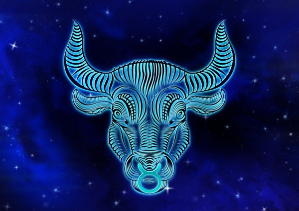 황소자리(Taurus)