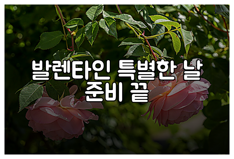 발렌타인 특별한 날 준비 끝