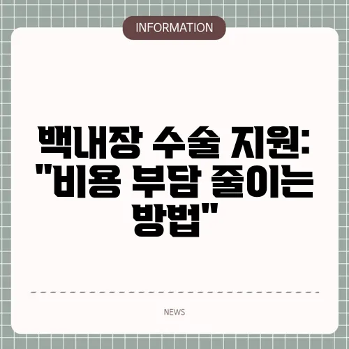 백내장 수술 지원: 