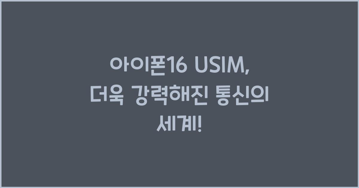 아이폰16 usim