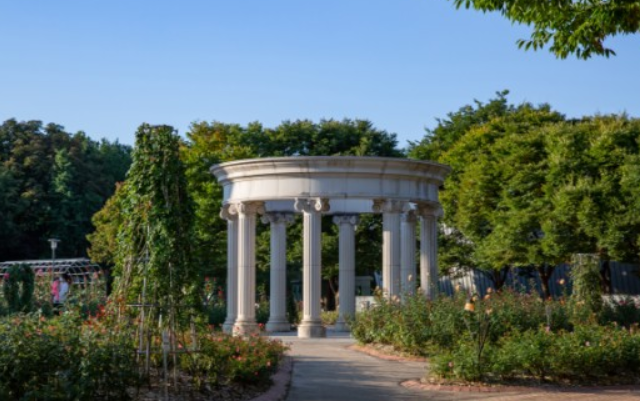 올림픽공원 장미광장