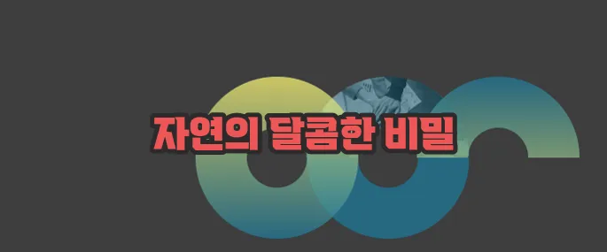 꿀의 효능 자세히 알아볼게요