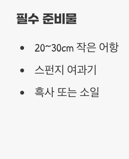 새우들의 아늑한 집 꾸미기