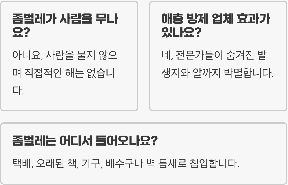 좀벌레 완벽 가이드 – 원인, 피해, 퇴치법, 예방까지 총정리