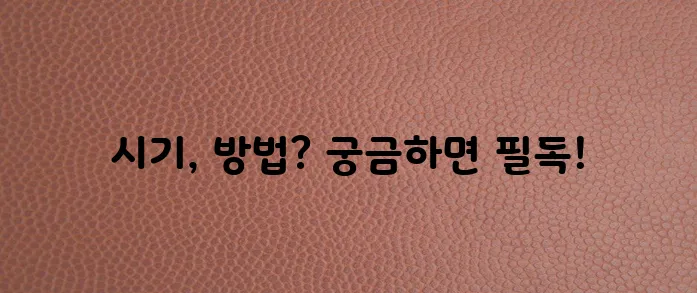 강아지 변 훈련 시기는 언제일까요 어떻게 훈련해야 할까요!