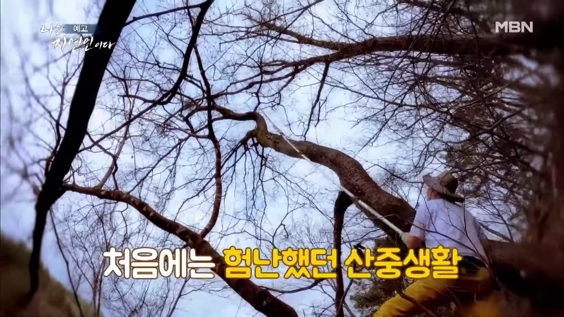 나는 자연인이다 100년 집 머위꽃 튀김 달래무침 개복숭아 고추장 황태 북어 구이 고립무원의 자유 자연인 서옥선 소개 및 윤택 출연 549회 다시보기