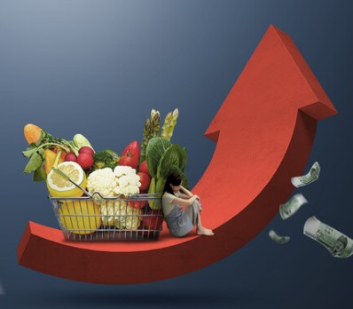 슈링크플레이션 관련 주요 생필품 실태조사 상황