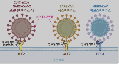 중국 신종 감염병