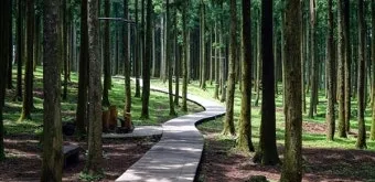 걷기좋은 명품 숲길 30선 숨겨진 코스_2