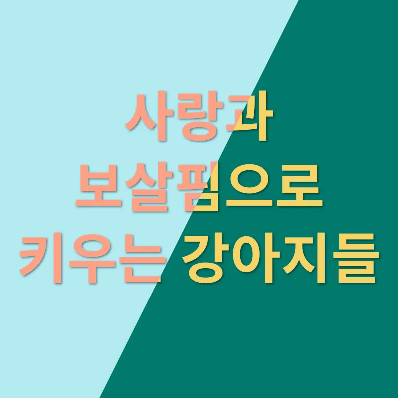 강아지 분양_1