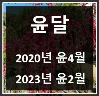 윤년은 언제인지와 계산 방법_20