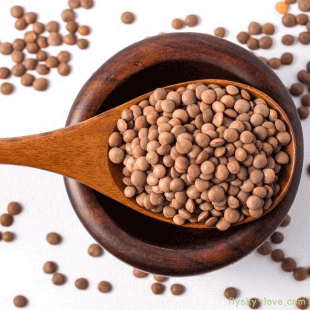 렌틸콩 고르는 법
