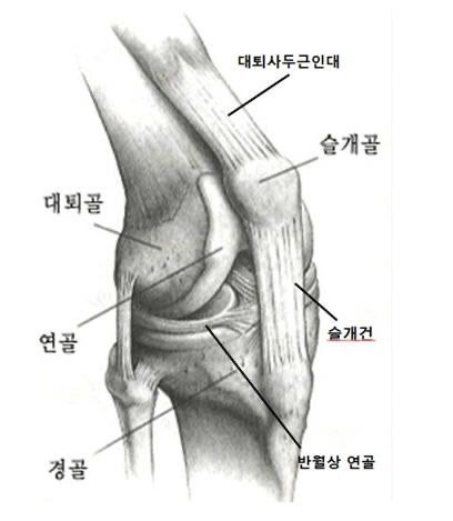 일반적인 무릎 손상: 원인, 증상 및 치료법