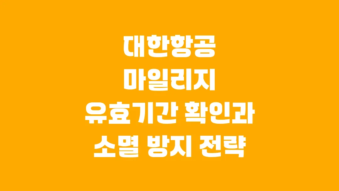 대한항공 마일리지 유효기간 확인과 소멸 방지 전략