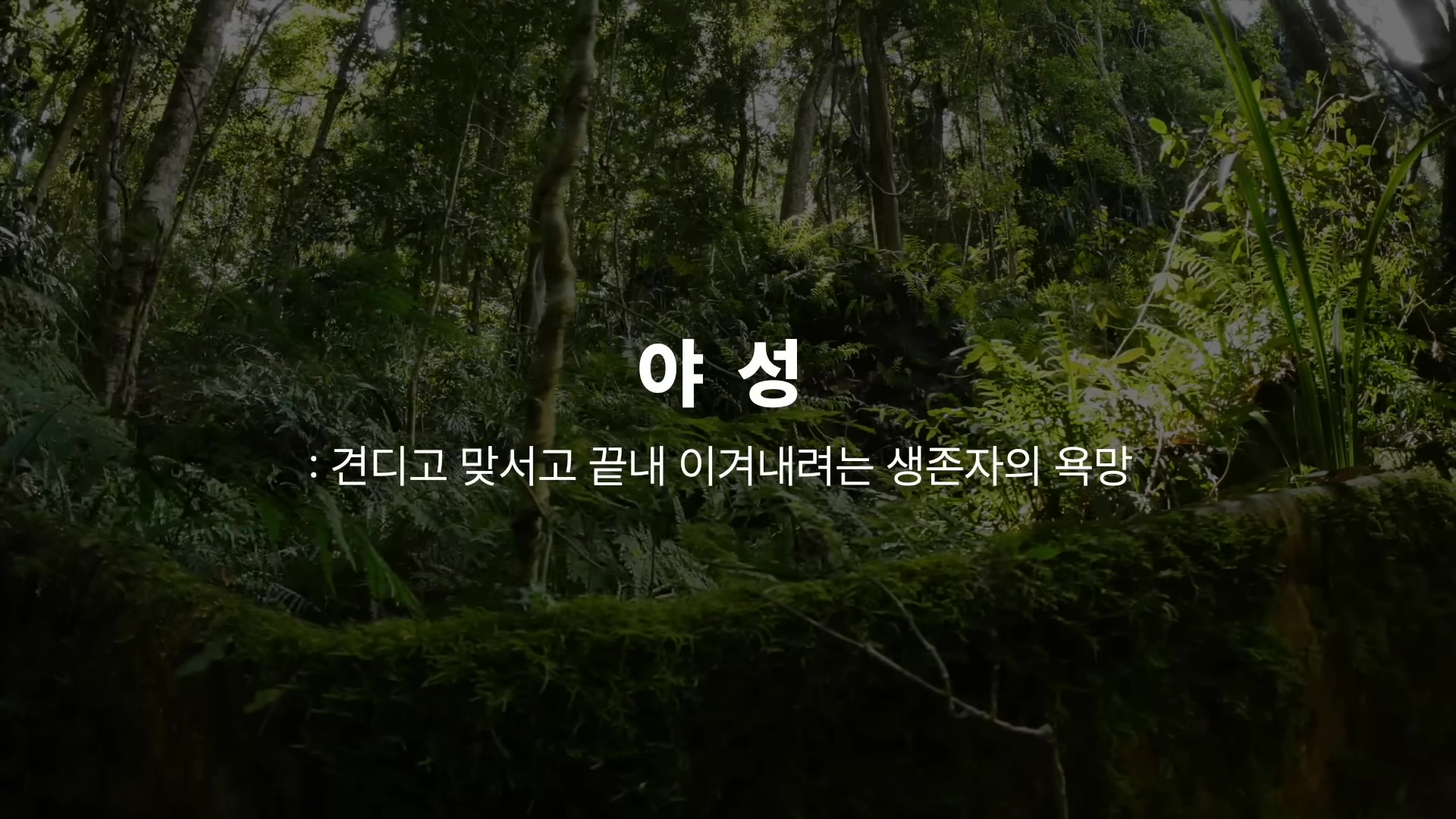 야성 : 견디고 맞서고 끝내 이겨내려는 생존자의 욕망