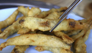 대전 진성할매추어탕