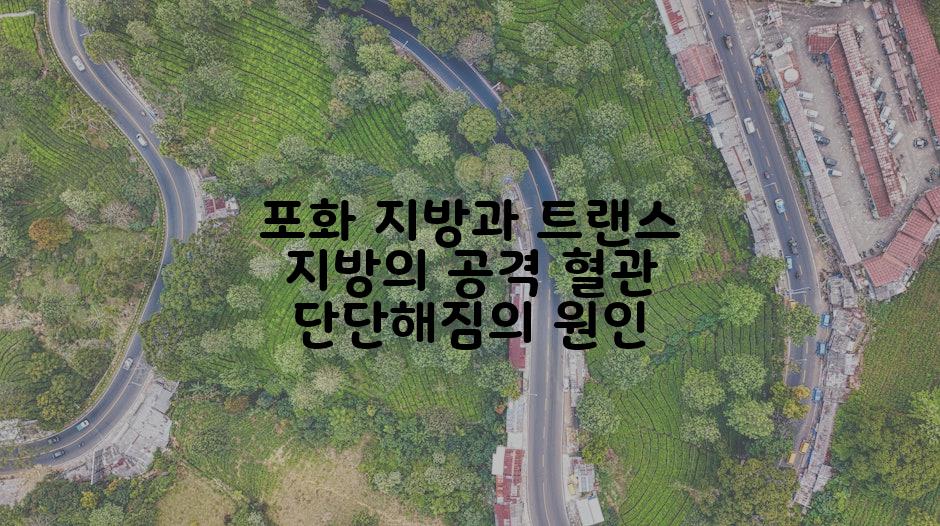 포화 지방과 트랜스 지방의 공격 혈관 단단해짐의 원인
