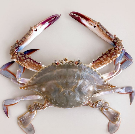 부안 가을 꽃게 택배 주문 방법