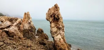 승봉도 배시간표 배편 요금 배편 예약_14