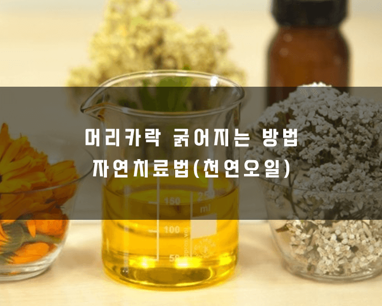 머리카락 굵어지는 방법 - 자연치료법 천연오일사용하기