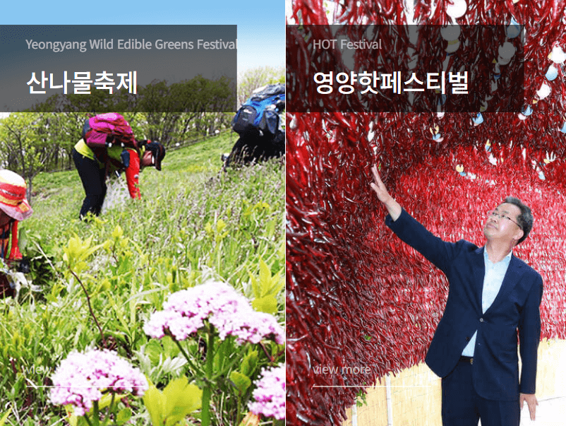 5월 여행하기 좋은 경상북도, 축제 일정 가볼만한 곳 추천