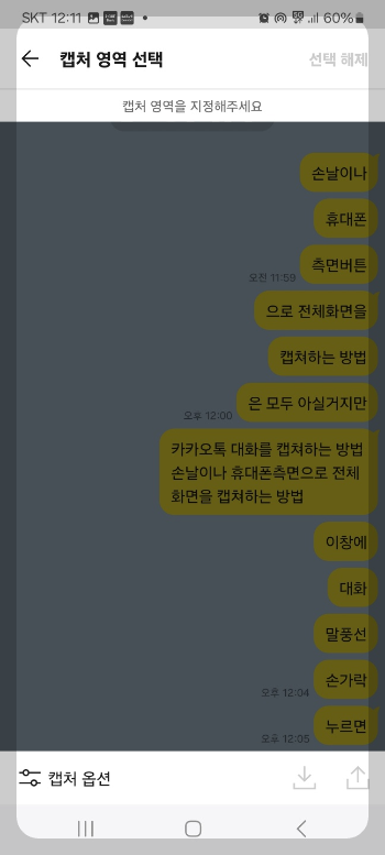 카톡 대화 내용 캡쳐