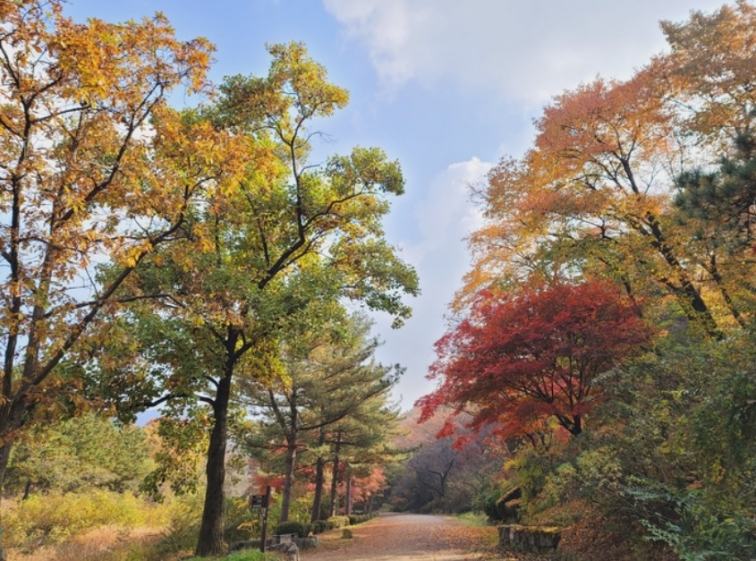 서울대 안양수목원 개방일