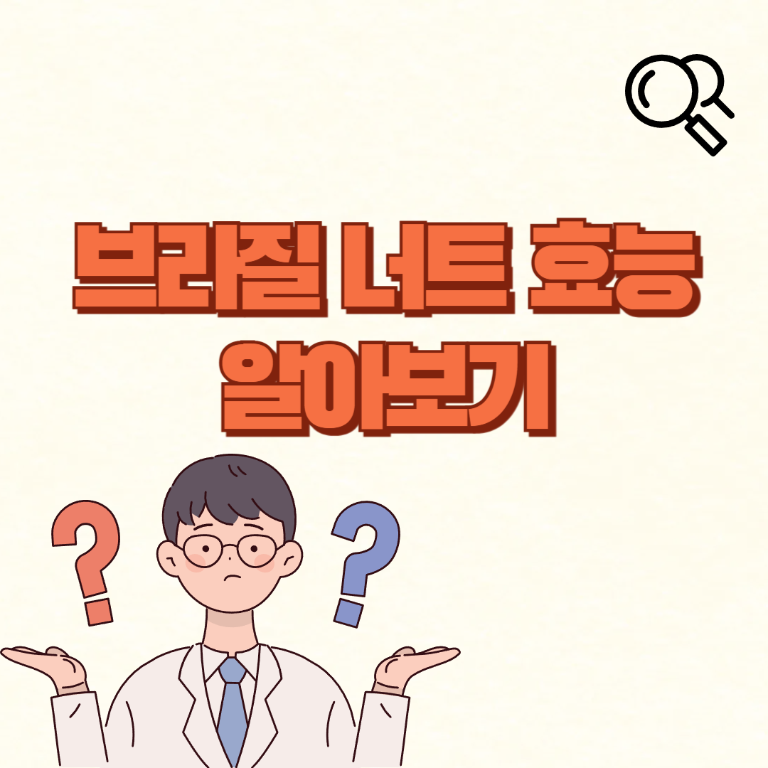 브라질 너트 효능✅