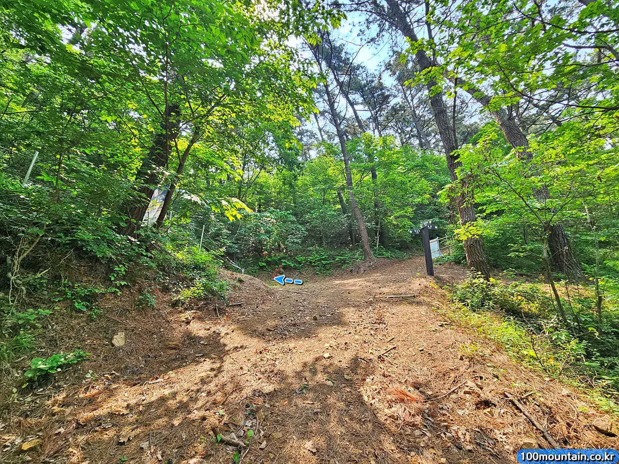 면삽지 방향으로