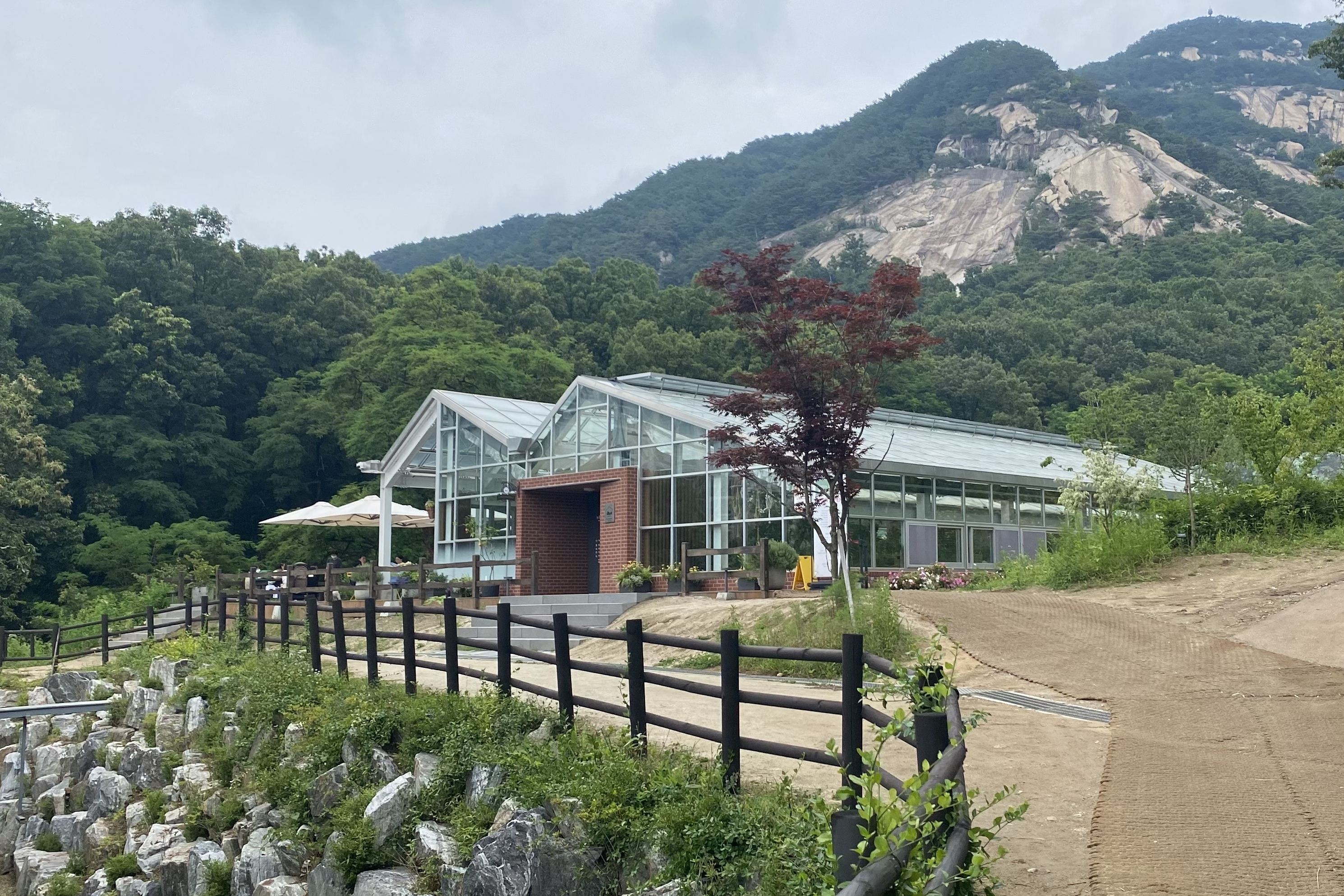 생방송투데이 불암산 철쭉제 나비정원