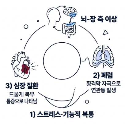 배가 살살 아픈 이유
