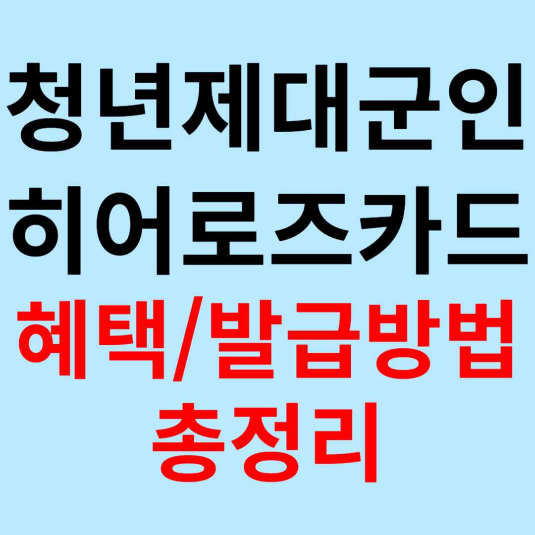 청년 제대군인을 위한 '히어로즈 카드' 혜택과 발급 방법 총정리