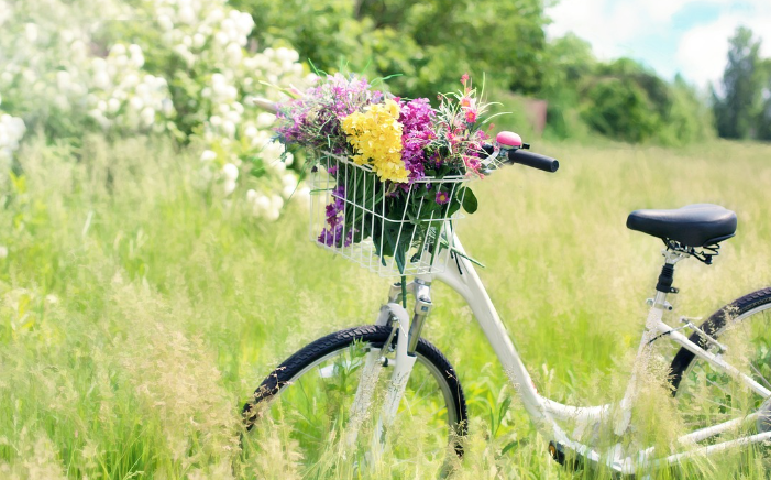 6월 여행하기 좋은곳 BEST 5