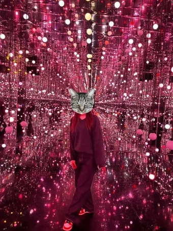 경주 실내 가볼만한곳 베스트 10을 정리_18