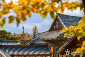 경상도 지역 명소 22선