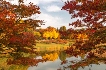 2023 단풍여행 시기 지역별 명소