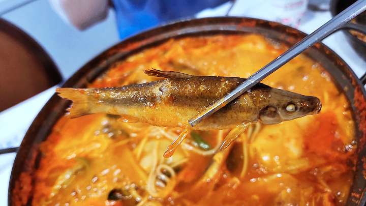 진심 가득 건강 담은 맛 요리 철원 한탄강 주상절리 맛집 추천 생방송투데이 보고 먹고 즐기고 쓰리고
