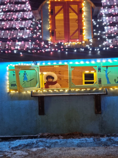 가평 아침고요수목원 빛축제 가족여행 후기