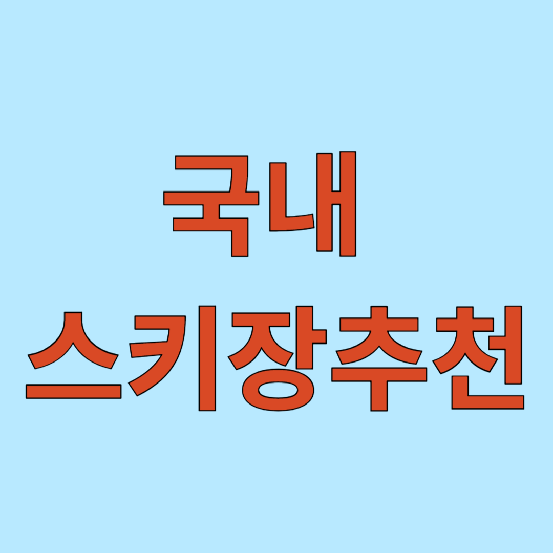 국내 스키장추천