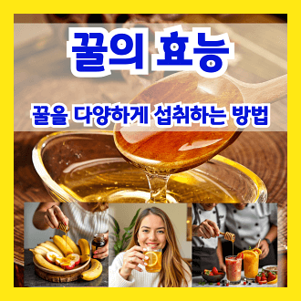 꿀의 효능 및 꿀을 다양하게 섭취하는 방법
