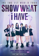 2023 아이브 월드투어 콘서트 SHOW WHAT I HAVE 시야제한석 포스터
