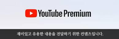 유튜브 프리미엄 라이트