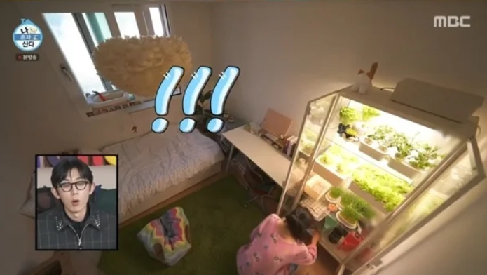 배우 옥자연 집 공개│이케아 밀스보 유리도어 수납장 식물장