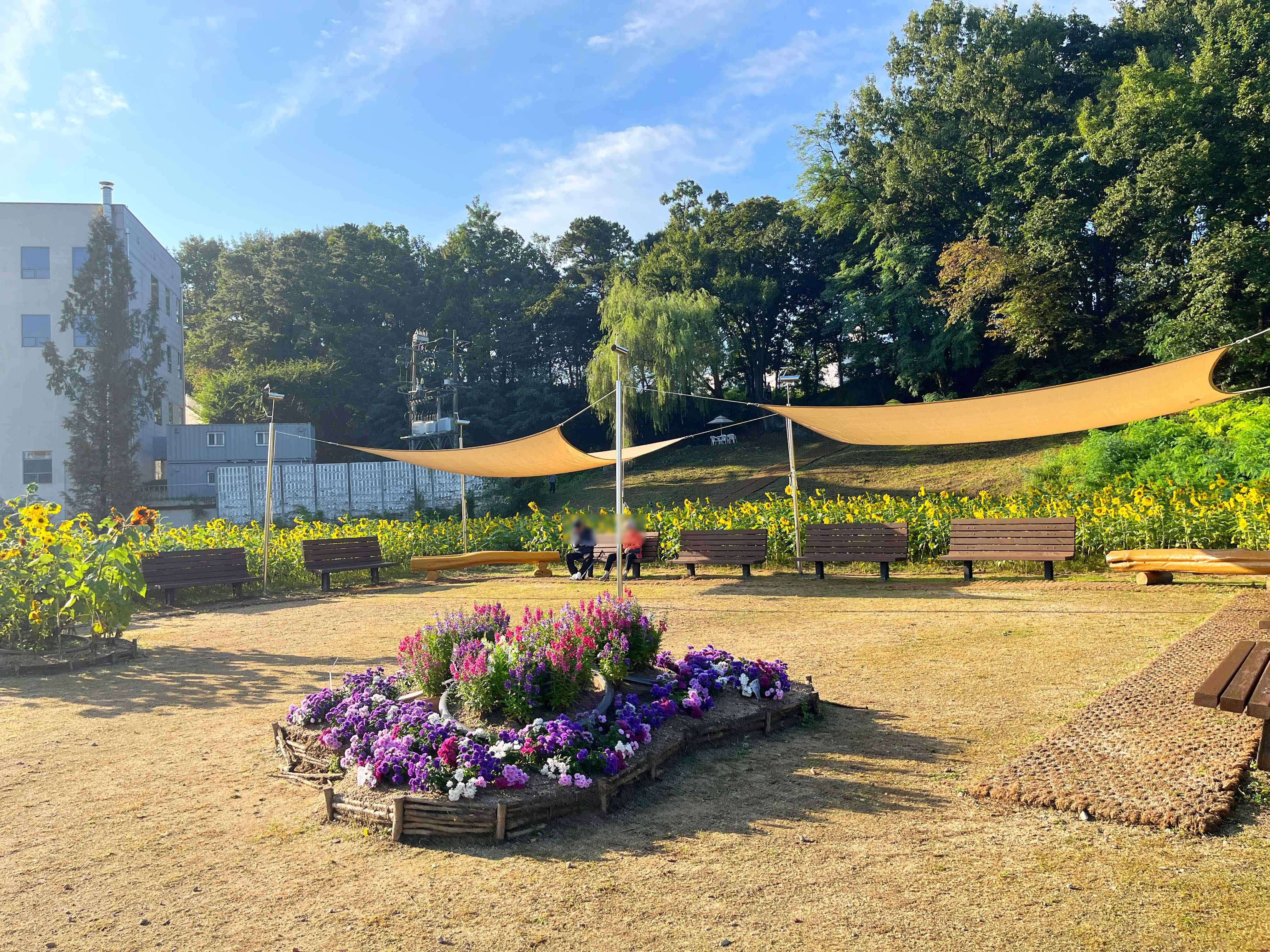 신곡새빛정원 해바라기