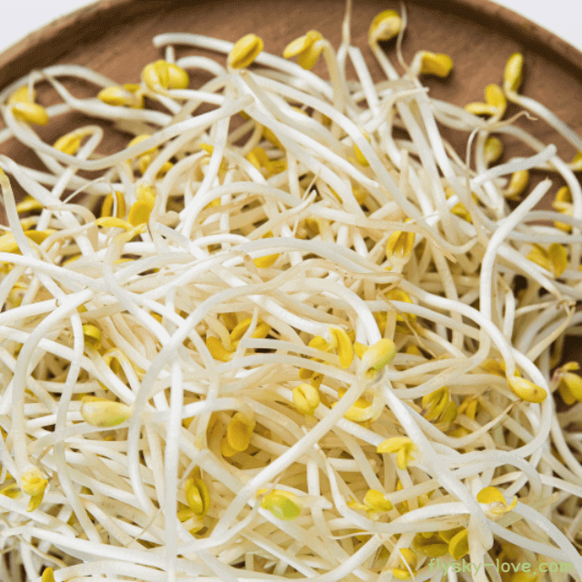 콩나물 고르는 법