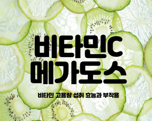 비타민씨 메가도스 효능 고용량 섭취