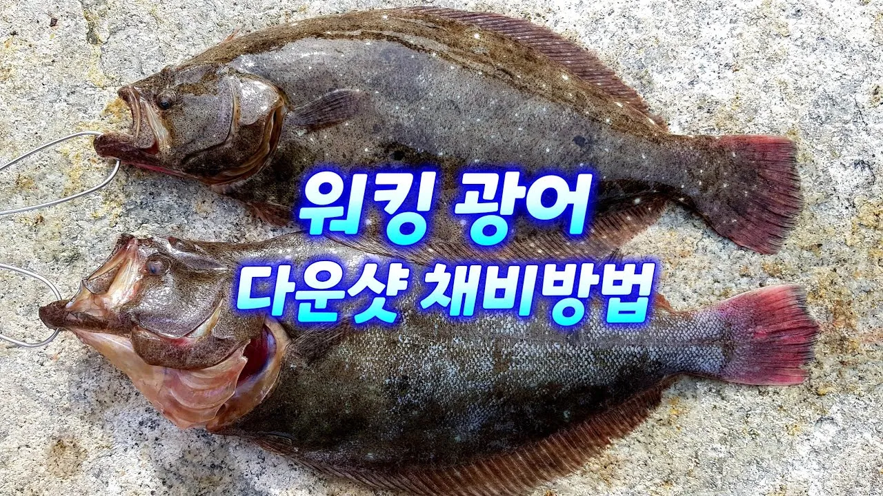 다운샷 비법 쏘가리 강변 직벽 포인트에서 바닥층 공략 요령_2