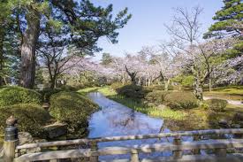 2025년 벚꽃 개화시기