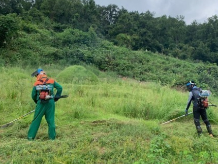 2025년 설날 벌초 업체 서비스