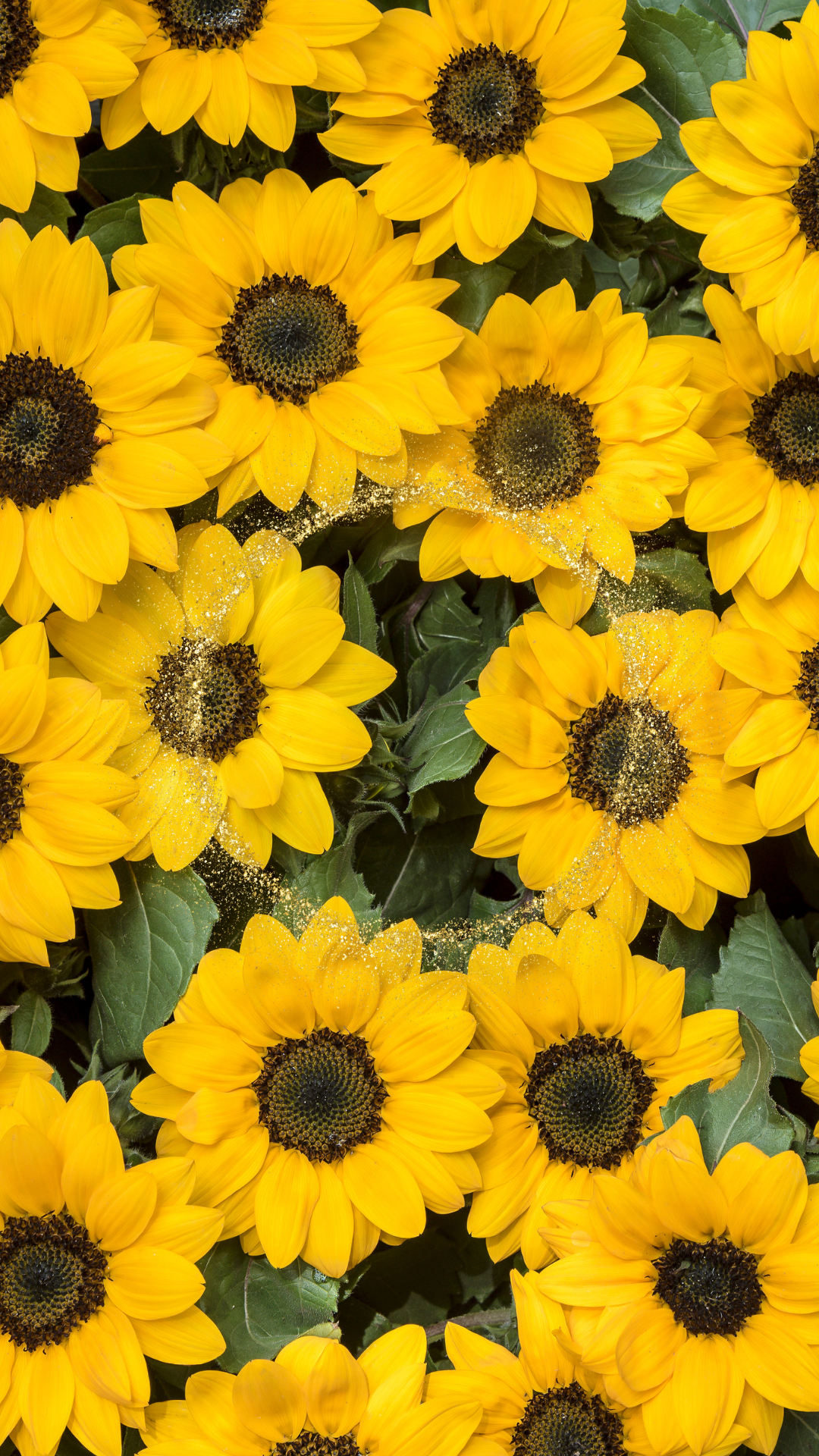 돈들어오는 그림 배경화면 사진